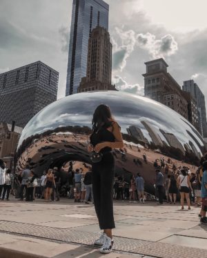 samira radmehr chicago travel guide