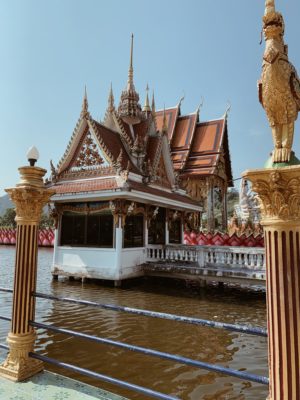 samira radmehr thailand travel guide